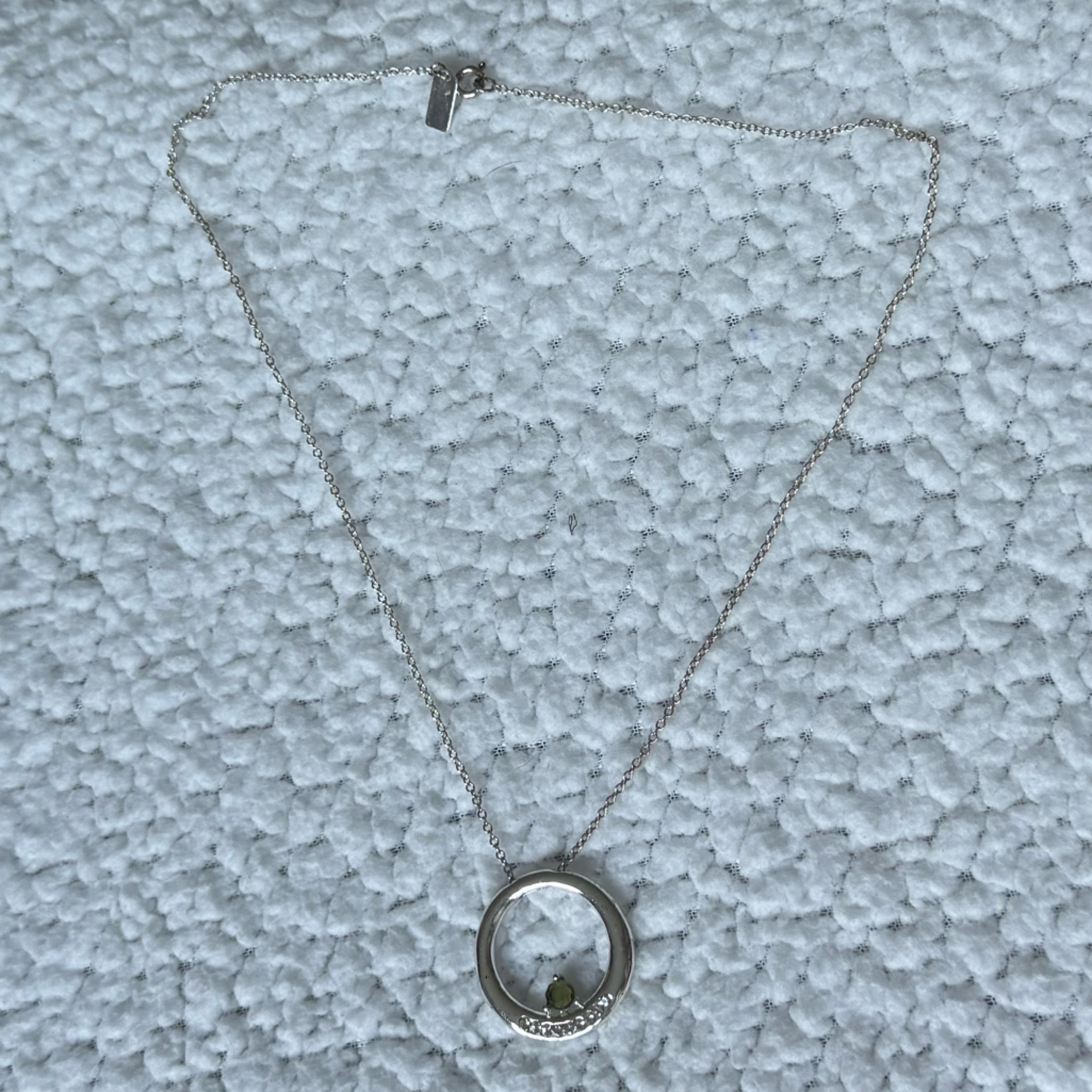 Liz & Co Elegant Silver Necklace With Green Accent!
